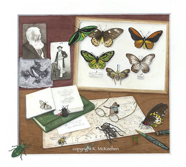 K McKeehen Wallace Remembered 72