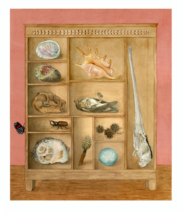 McKeehen Curiosity cabinet 72