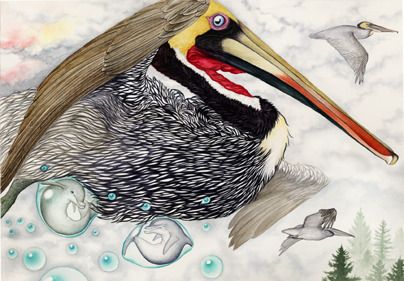 pelican.jpg